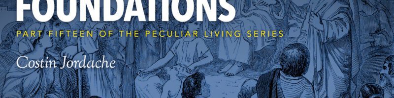 Regarding Foundations by Costin Jordache