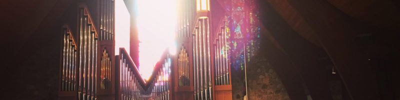 an organ project update