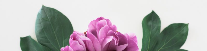 mothers day flowers